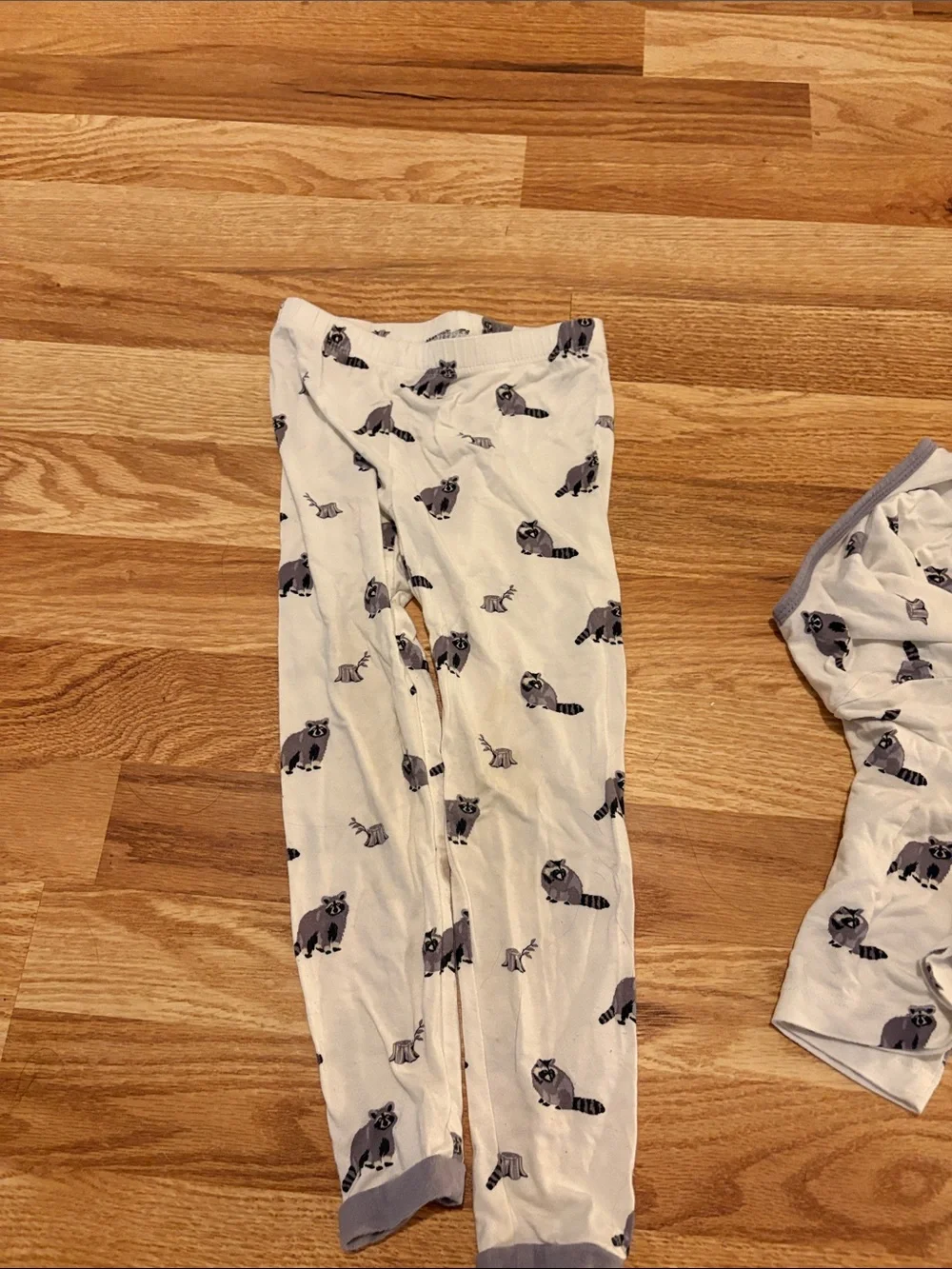 Kyte Baby Kids Long Sleeve Pajama Top Set 3T Raccoon Print Bamboo